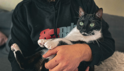 Ma van az &ouml;leld meg a macsk&aacute;d nap! - M&aacute;r ha hagyja mag&aacute;t