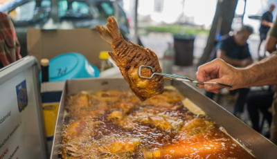 Kezdődik a si&oacute;foki Halfesztiv&aacute;l