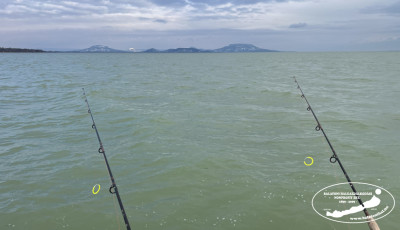 Kezdet&eacute;t vette az &aacute;ltal&aacute;nos ragadoz&oacute;hal-fog&aacute;si tilalom a Balatonon