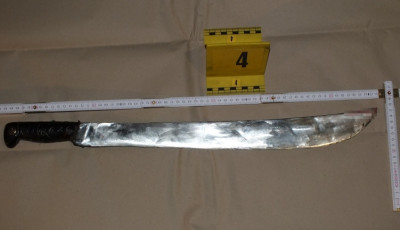 Macs&eacute;t&aacute;val sebes&iacute;tette meg volt p&aacute;rj&aacute;t a v&aacute;rpalotai f&eacute;rfi, azzal fenyegetőz&ouml;tt hogy feldarabolja