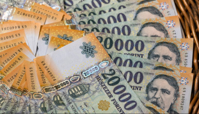 A k&ouml;nyvelők 90%-a &aacute;remel&eacute;sre k&eacute;sz&uuml;l a katat&ouml;rv&eacute;ny miatt