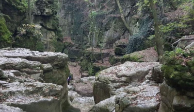 F&uuml;ggőh&iacute;ddal &eacute;s tan&ouml;sv&eacute;nyekkel &uacute;jul meg a Bakony - 1,8 milli&aacute;rdos fejleszt&eacute;s indul