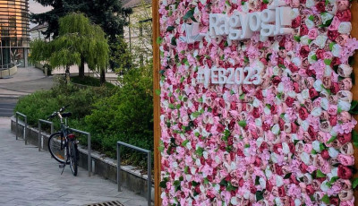 Any&aacute;knapi fot&oacute;fallal k&eacute;sz&uuml;lt az EKF Veszpr&eacute;m csapata