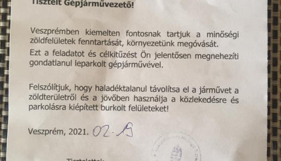 Kultur&aacute;lt ember nem parkol a z&ouml;ldter&uuml;letre, m&aacute;soknak meg tilos &ndash;  &Iacute;gy &uuml;zen a v&aacute;ros, ha tilosban j&aacute;rsz