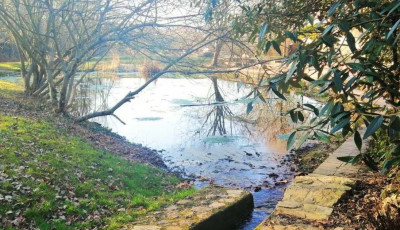 A veszpr&eacute;mi Felt&ouml;ltő Pont szem&eacute;tszed&eacute;st szervez a V&ouml;lgyik&uacute;tn&aacute;l tal&aacute;lhat&oacute; t&oacute;n&aacute;l