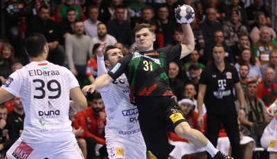 F&aacute;j&oacute; veszpr&eacute;mi veres&eacute;g Magdeburgban