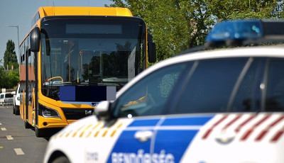 Ittas buszsofőrt kapcsoltak le a rendőr&ouml;k