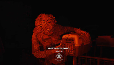 Katonai robottal mentettek ki egy bajba jutott macsk&aacute;t az ukr&aacute;n frontvonalr&oacute;l