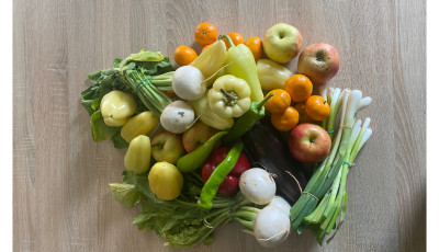 &Eacute;telt mentett&uuml;nk a veszpr&eacute;mi Sp&aacute;rban - Berobbant a Munch