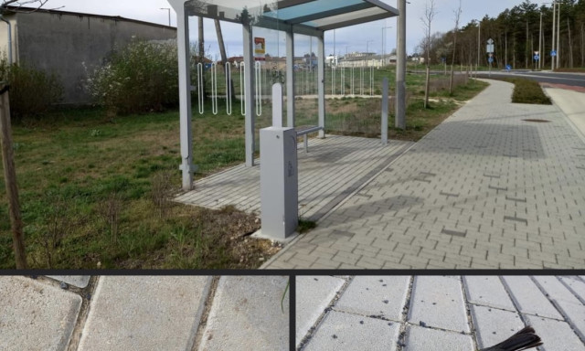 Sorra pusztultak el az &uacute;j Kist&oacute; utcai buszmeg&aacute;ll&oacute;nak rep&uuml;lve a kismadarak - Megoldottuk a probl&eacute;m&aacute;t