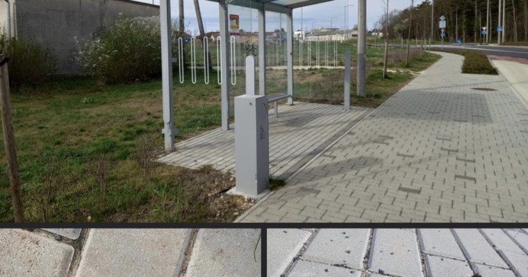 Sorra pusztultak el az &uacute;j Kist&oacute; utcai buszmeg&aacute;ll&oacute;nak rep&uuml;lve a kismadarak - Megoldottuk a probl&eacute;m&aacute;t