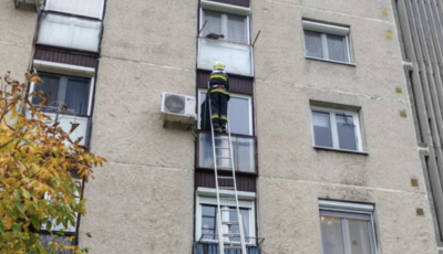 A 4. emeletről kiesett macsk&aacute;t mentettek a p&eacute;tf&uuml;rdői tűzolt&oacute;k