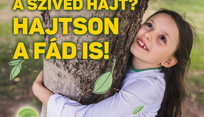 Indul a fa-&ouml;r&ouml;kbefogad&aacute;s Veszpr&eacute;mben