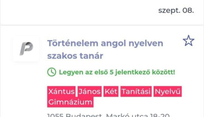 T&ouml;bb p&eacute;nzt k&iacute;n&aacute;lnak egy d&eacute;lut&aacute;nos takar&iacute;t&oacute;nak, mint egy angol nyelven t&ouml;rt&eacute;nelmet tan&iacute;t&oacute; pedag&oacute;gusnak