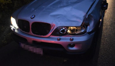 M&eacute;g tart az őzek p&aacute;rz&aacute;si időszaka - Szarvas okozott balesetet Kolont&aacute;rn&aacute;l