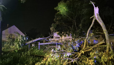 P&aacute;p&aacute;n a kidőlt f&aacute;k &eacute;s a let&ouml;rt &aacute;gak adtak munk&aacute;t a tűzolt&oacute;knak