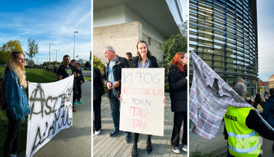 1200 veszpr&eacute;miből &aacute;llt az &eacute;lől&aacute;nc a tan&aacute;rok&eacute;rt - A Kossuth iskol&aacute;t&oacute;l eg&eacute;szen a Hangvill&aacute;ig &aacute;llt a sor - GAL&Eacute;RIA