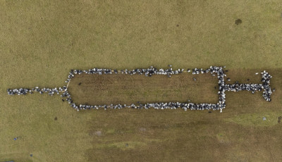 Oltasd beee magad! Birk&aacute;kkal &eacute;s kecsk&eacute;kkel n&eacute;pszerűs&iacute;tik az olt&aacute;st N&eacute;metorsz&aacute;gban