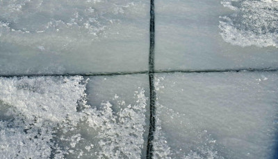 Ritka keresztrian&aacute;s jelent meg a Balaton jeg&eacute;n