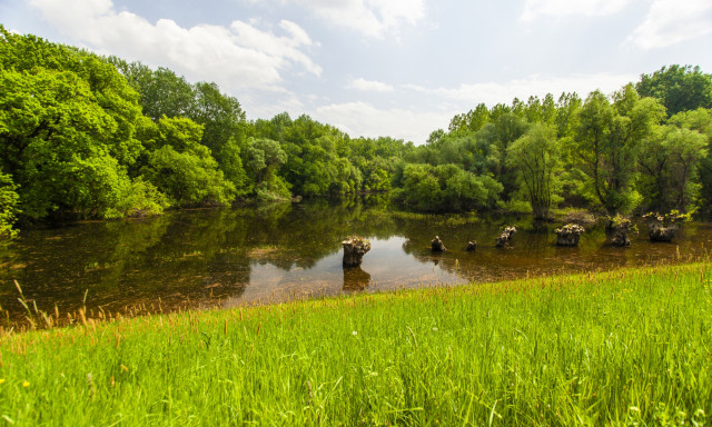 Megkezdőd&ouml;tt az idei sz&uacute;nyogirt&aacute;s megy&eacute;nkben is - Kiemelt figyelmet kap a Balaton-part