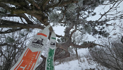 Trag&eacute;dia a Tihany Trail 2026-on: &eacute;let&eacute;t vesztette egy 47 &eacute;ves fut&oacute;