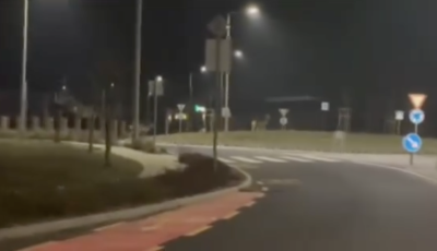 H&aacute;t ti? - Szarvasok szaladg&aacute;ltak Veszpr&eacute;mben  - VIDE&Oacute;