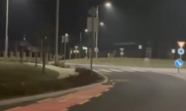 H&aacute;t ti? - Szarvasok szaladg&aacute;ltak Veszpr&eacute;mben  - VIDE&Oacute;