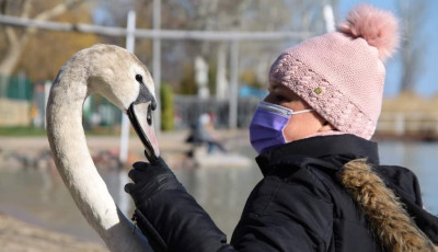 Ilyen J&uacute;lia &eacute;s a balatonf&uuml;redi hatty&uacute; k&uuml;l&ouml;nleges bar&aacute;ts&aacute;ga