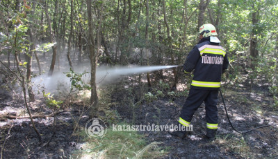 T&iacute;z hekt&aacute;ron &eacute;gett az erdő Pusztamiske &eacute;s K&aacute;ptalanfa k&ouml;z&ouml;tt