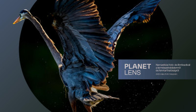 Veszpr&eacute;mben rendezik meg a Planet Lens Nemzetk&ouml;zi Term&eacute;szetfot&oacute;- &eacute;s Filmfesztiv&aacute;lt m&aacute;jusban