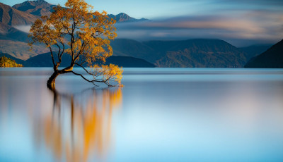Mesebeli l&aacute;tv&aacute;nyt ny&uacute;jt a Wanaka-t&oacute; mag&aacute;nyos f&aacute;ja