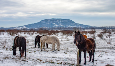 L&eacute;legzetel&aacute;ll&iacute;t&oacute; felv&eacute;telek a h&oacute;ba borult Balaton-felvid&eacute;kről
