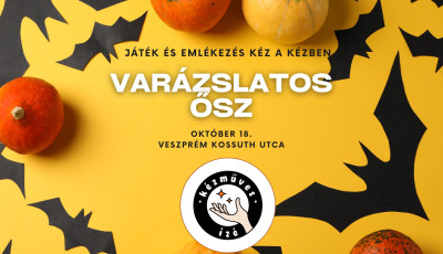 XVI. Veszpr&eacute;mi K&eacute;zműves Iz&eacute;