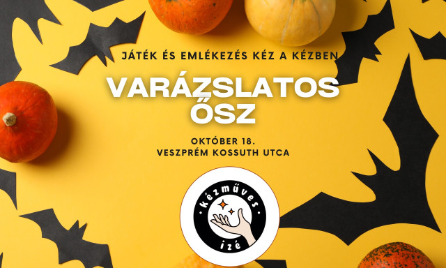 XVI. Veszpr&eacute;mi K&eacute;zműves Iz&eacute;